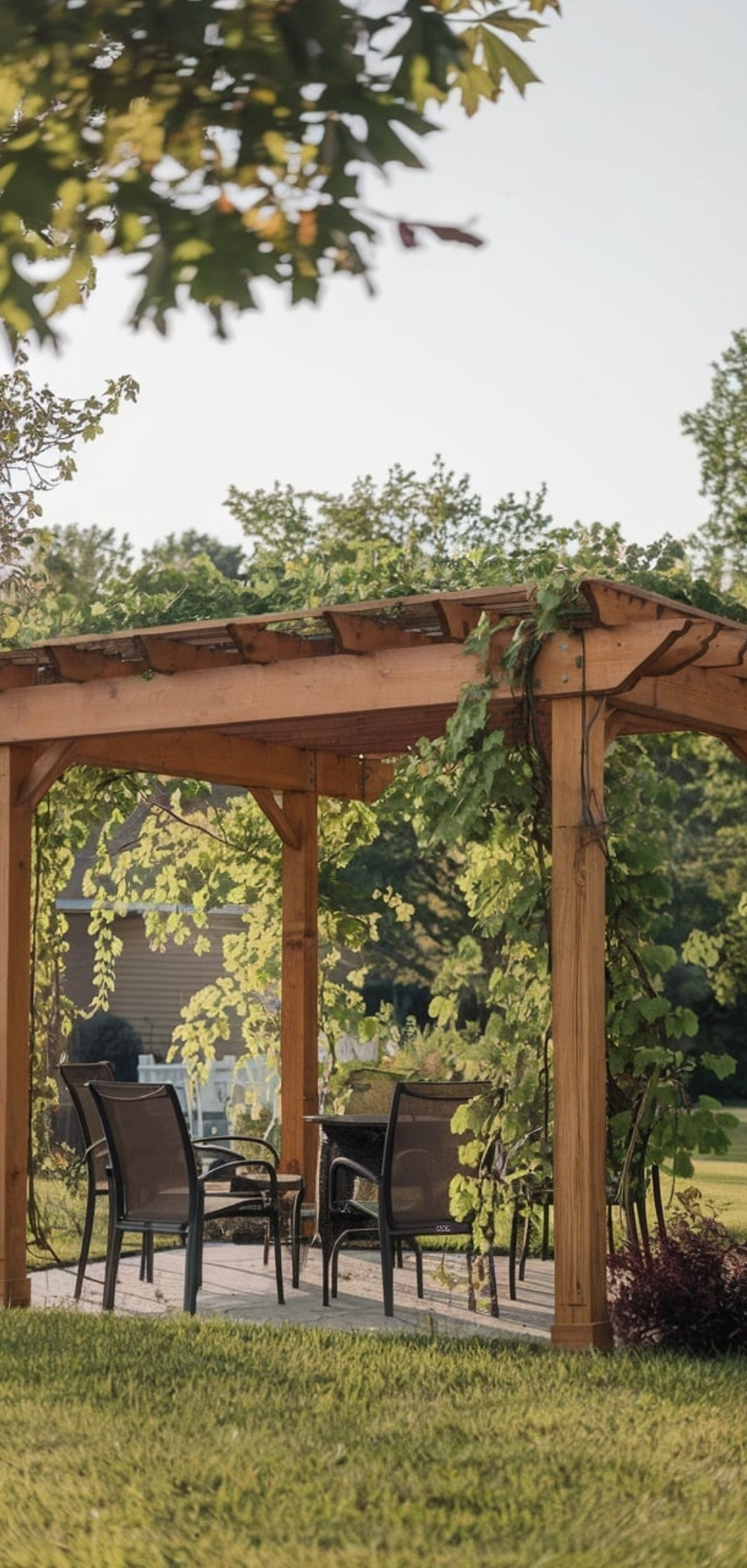 DIY Pergola