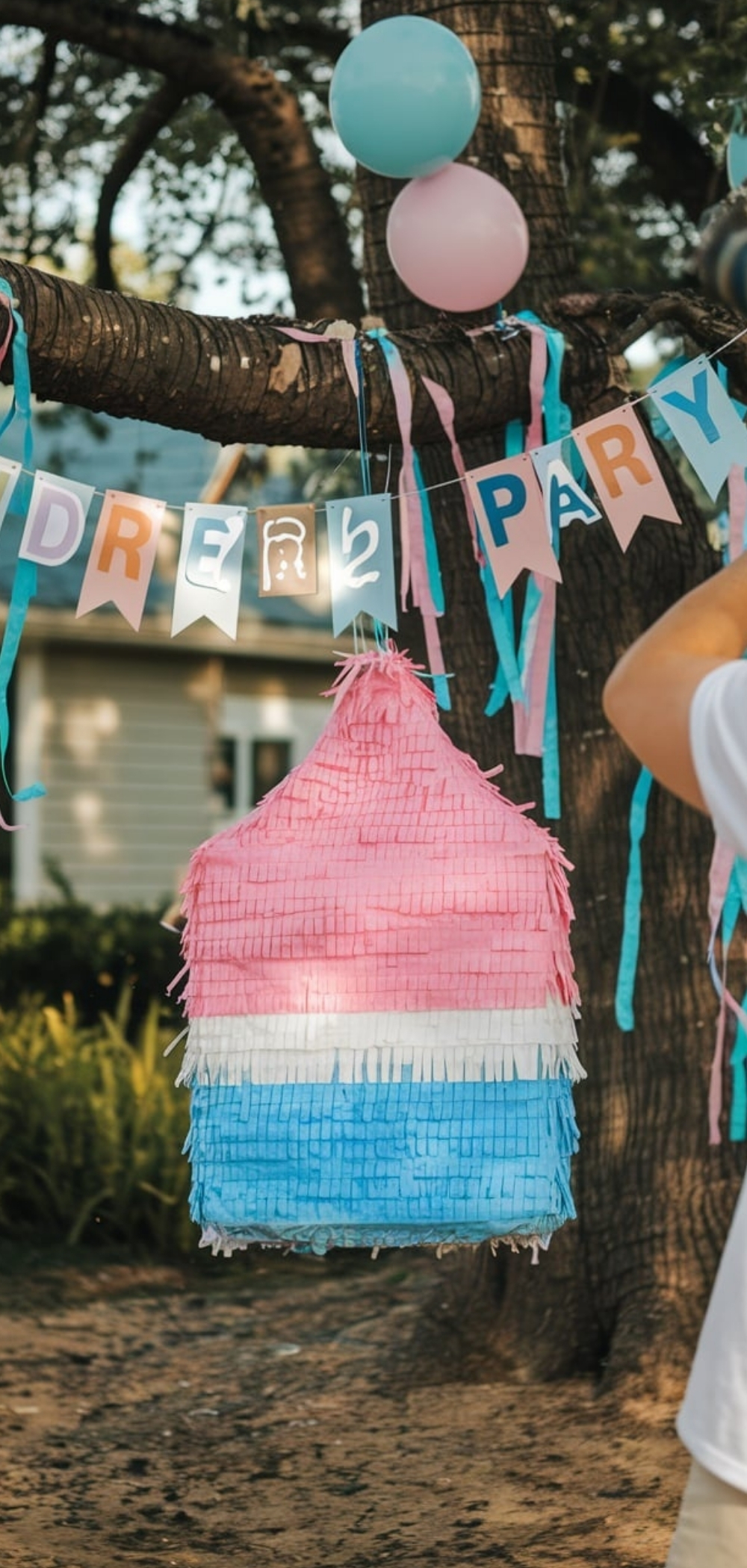 Gender Reveal Party Ideas