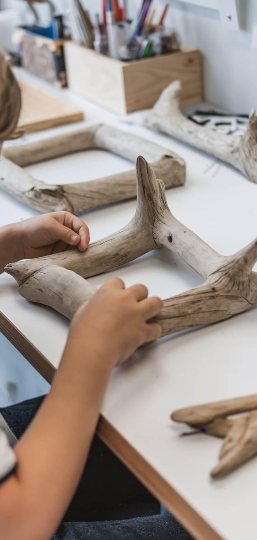 Driftwood Craft For Kids