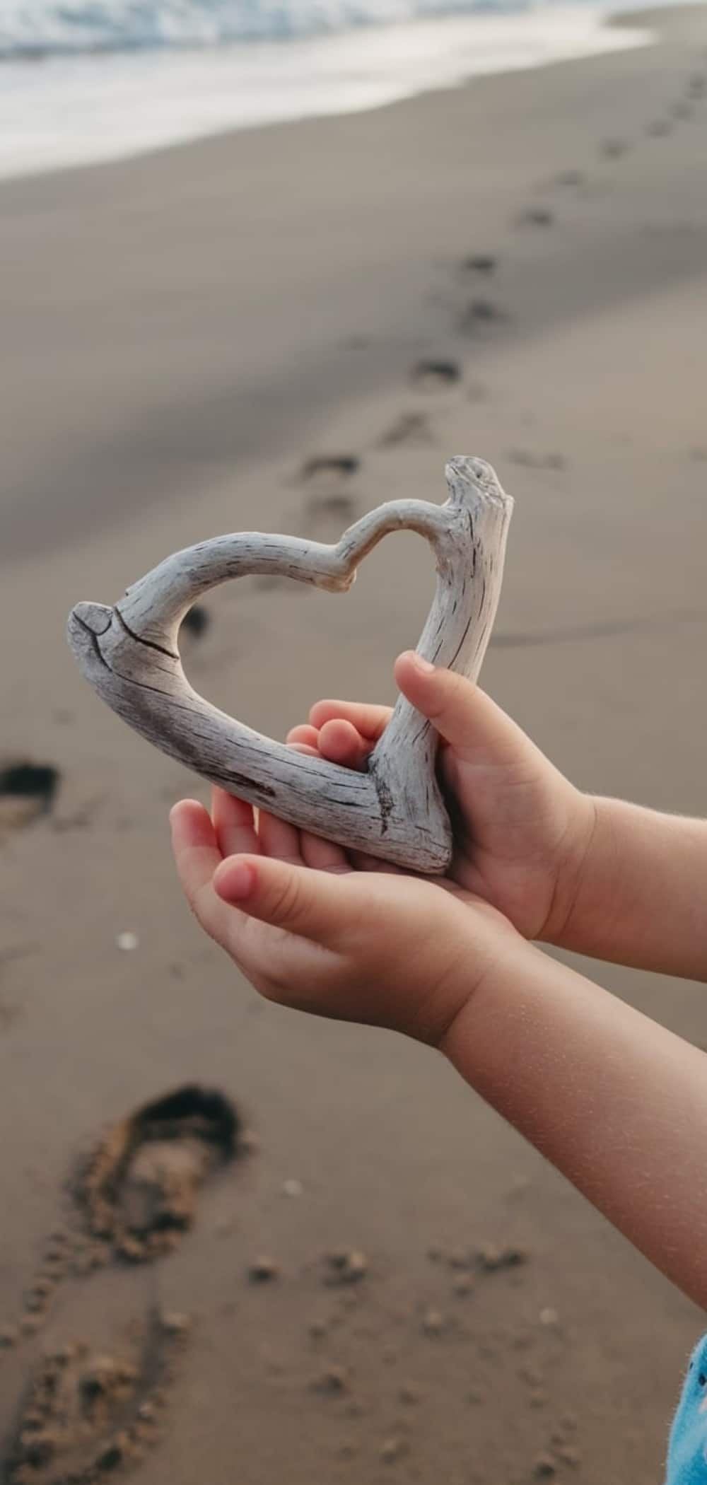 Driftwood Craft For Kids