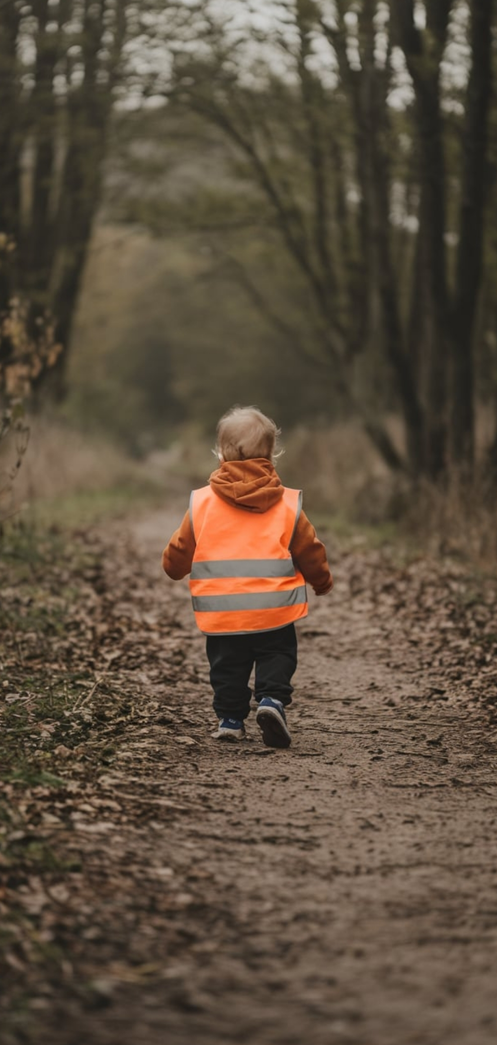 Toddler Outdoor Activities