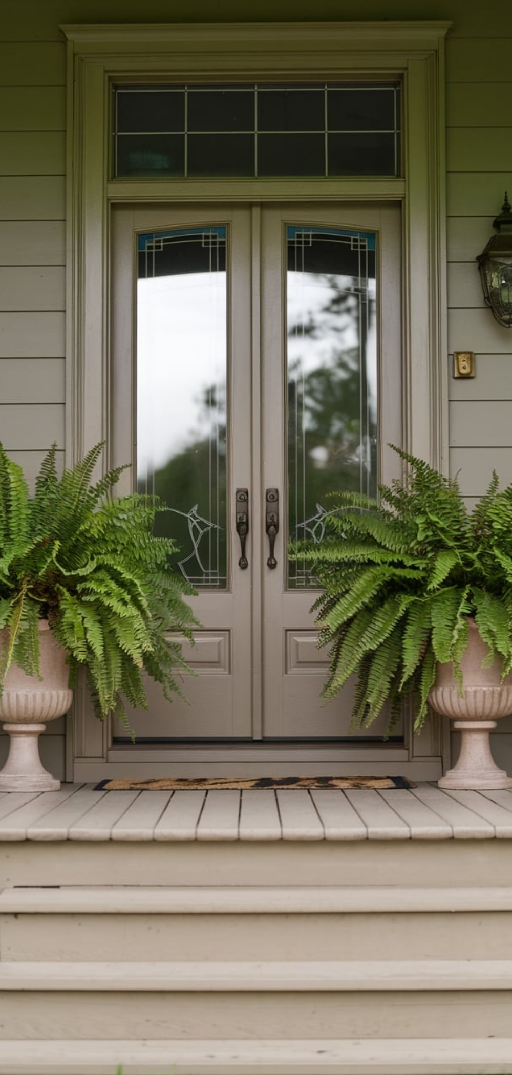 Fern On Front Porch