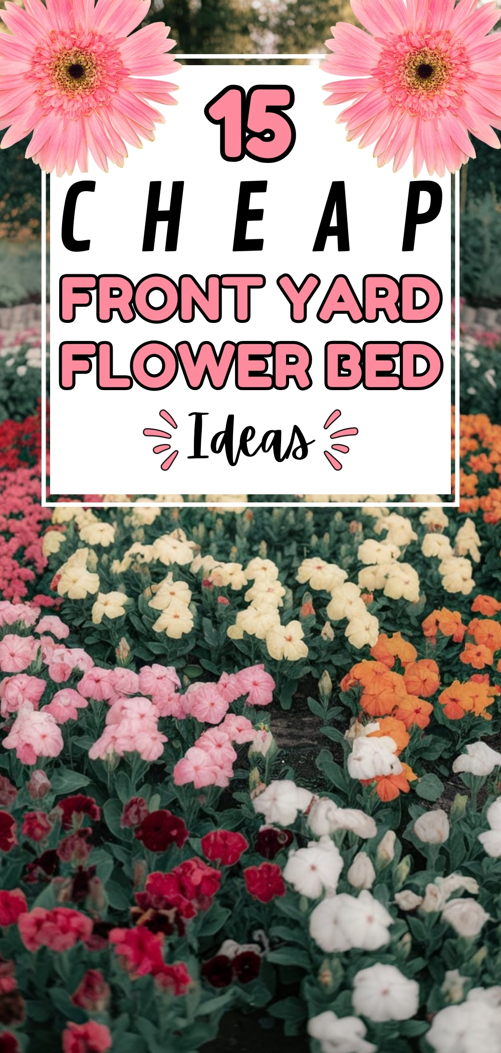 Yard Flower Bed