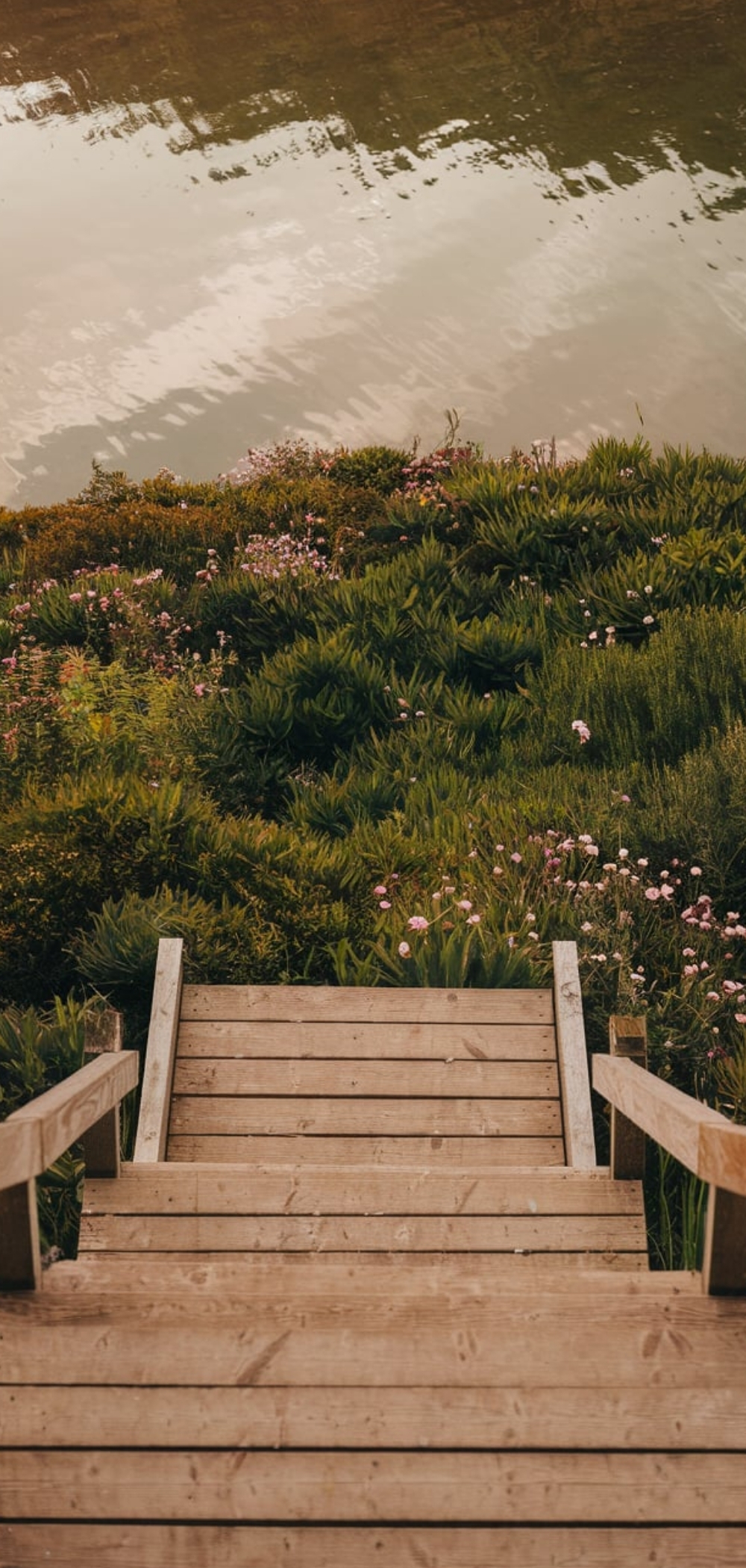 Walkway Landscaping