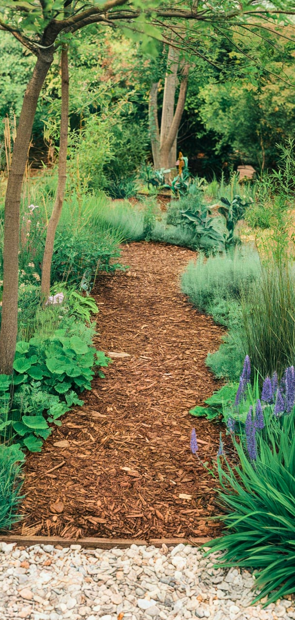 Walkway Landscaping