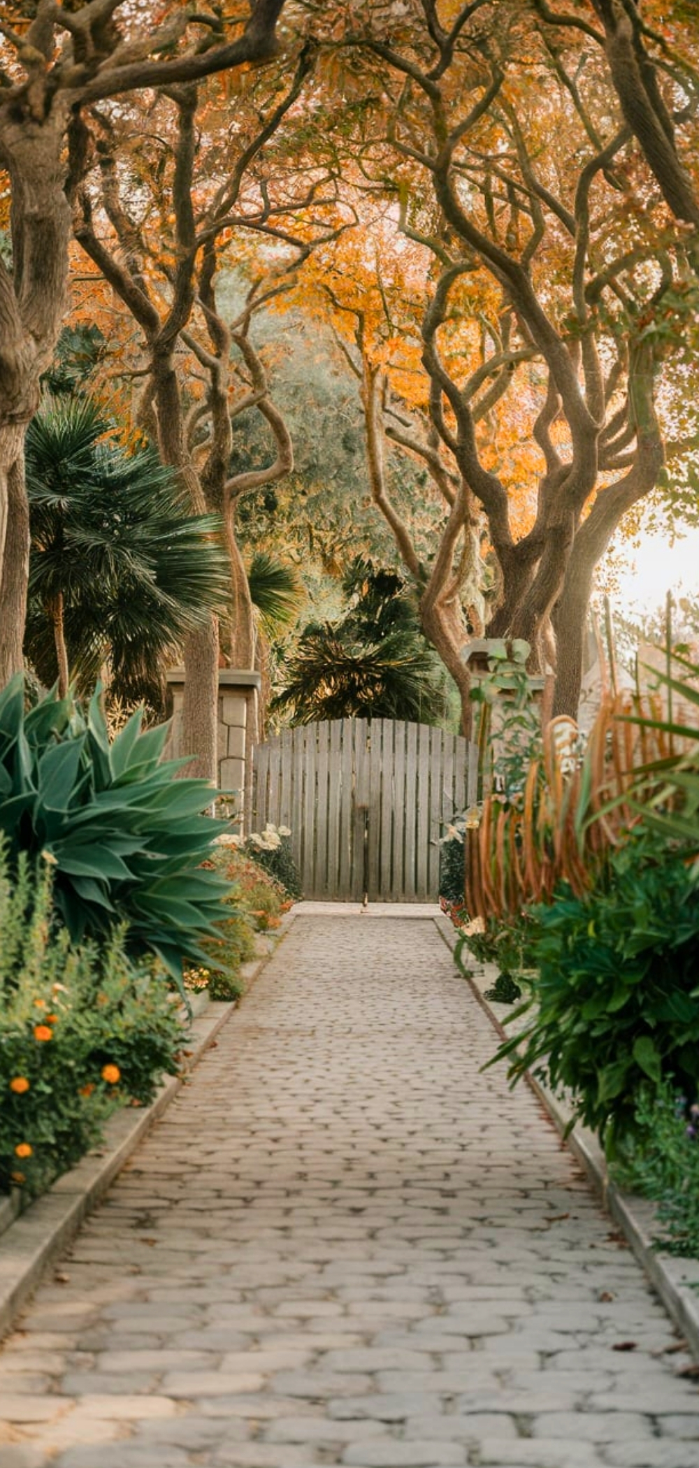 Walkway Landscaping