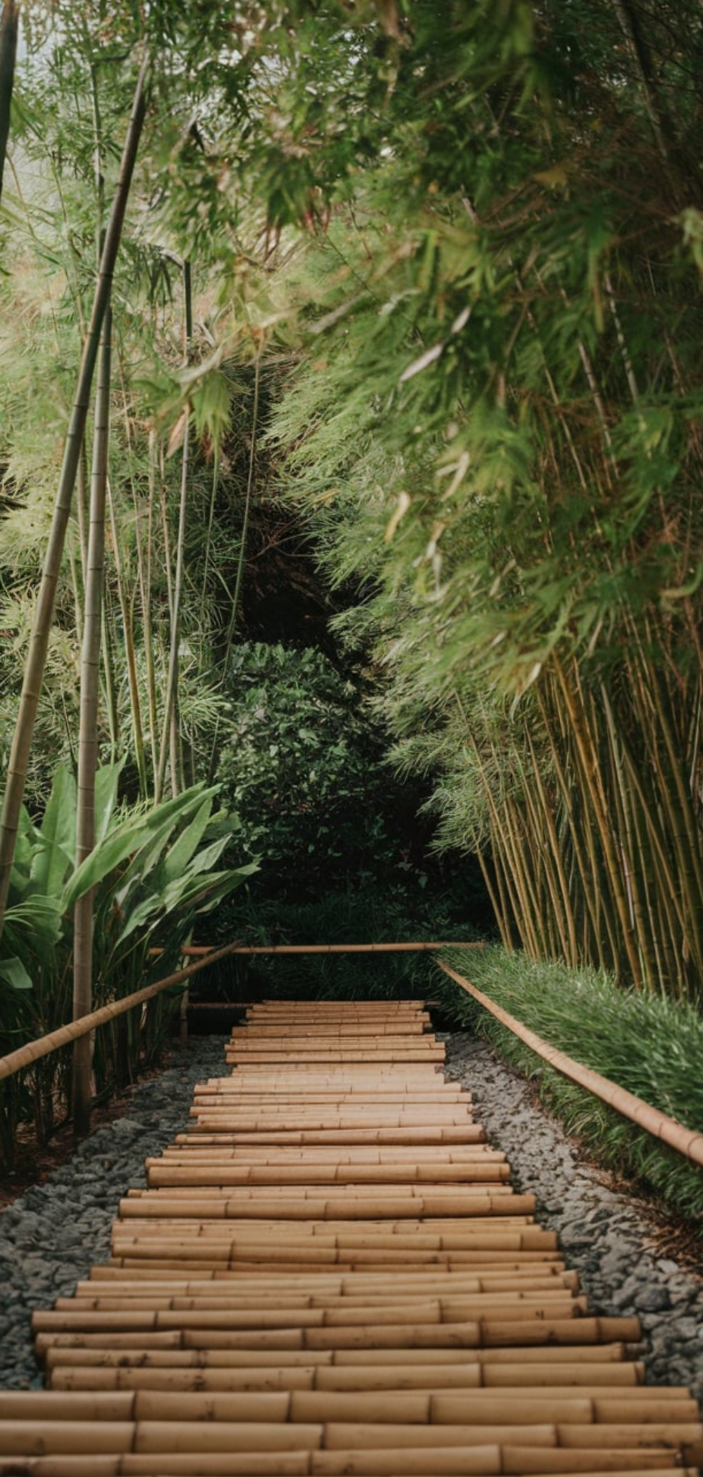 Walkway Landscaping