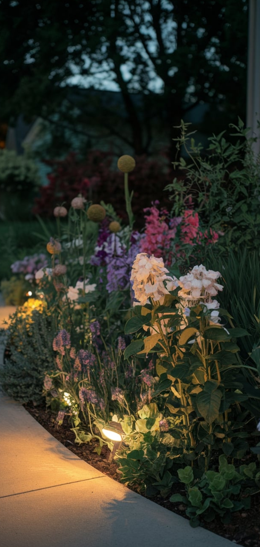 Yard Flower Bed