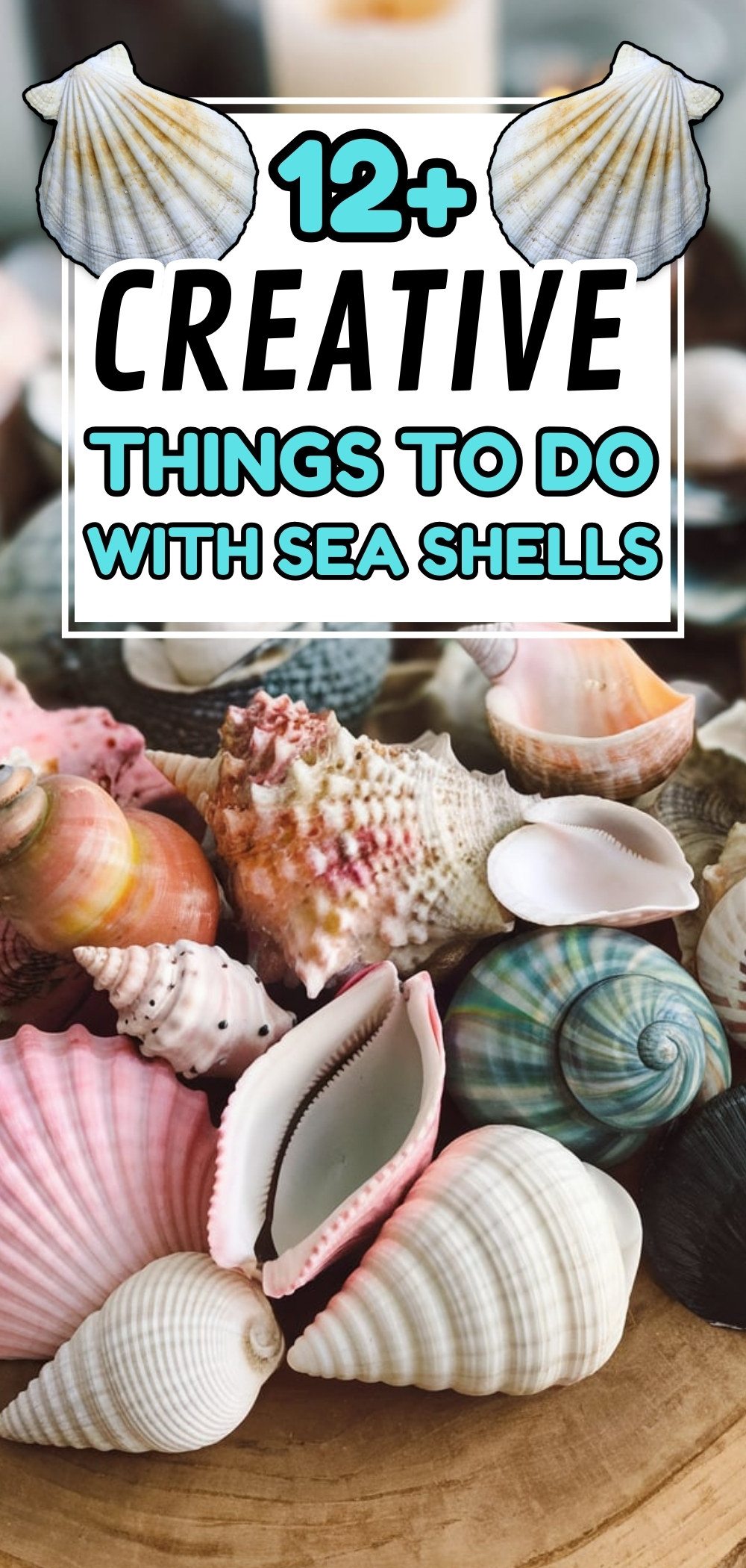 Things To Do With Sea Shells