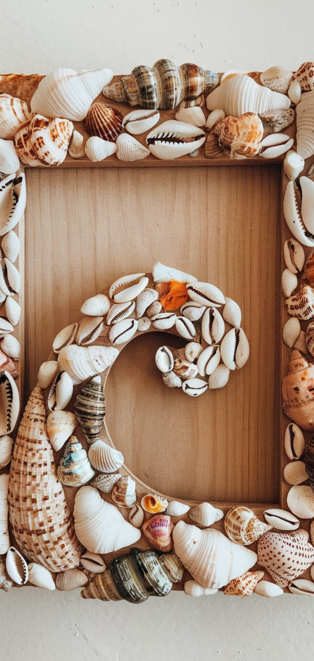 Things To Do With Sea Shells