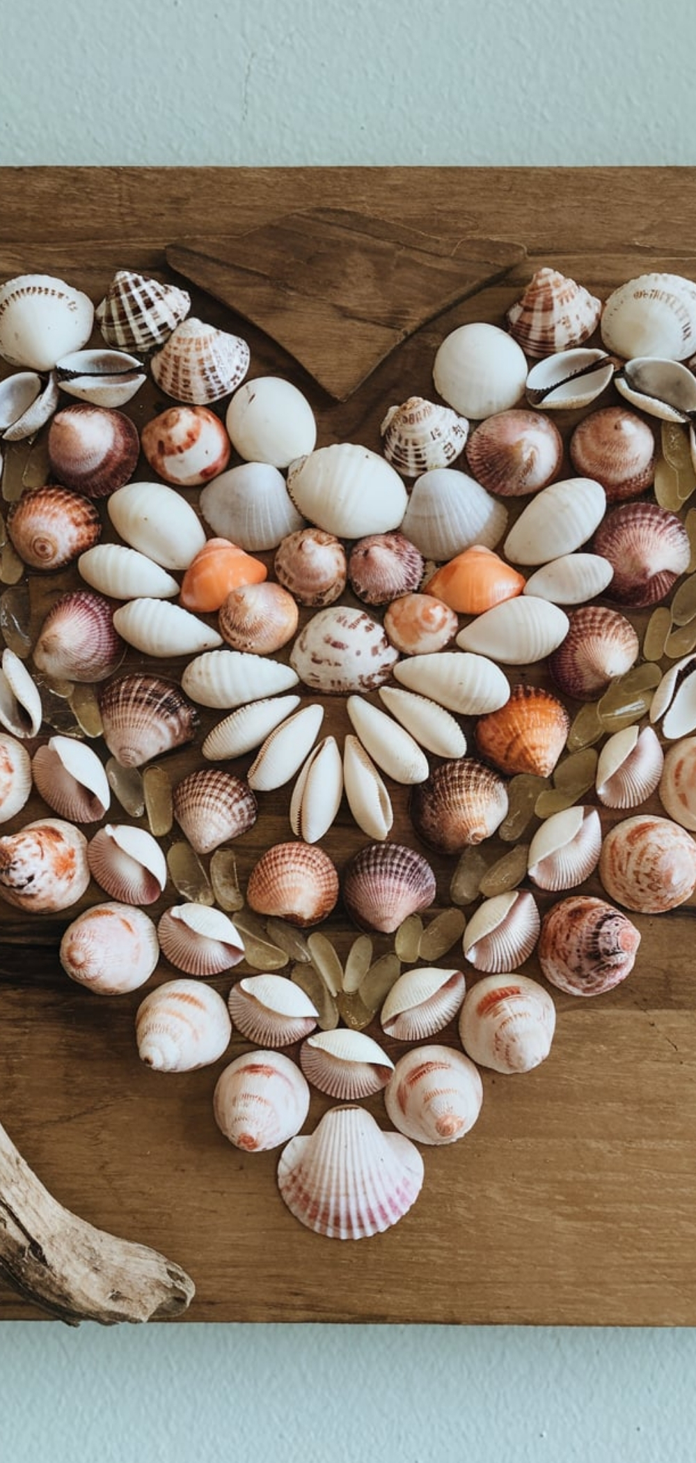 Things To Do With Sea Shells