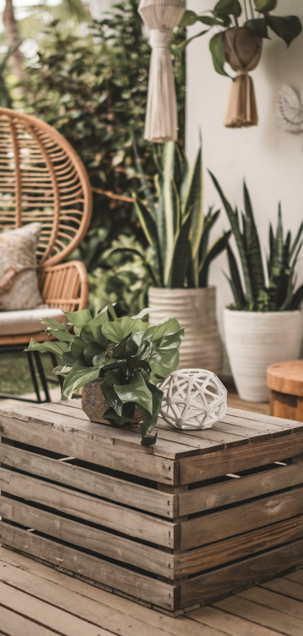 Tropical Bohemian Patio