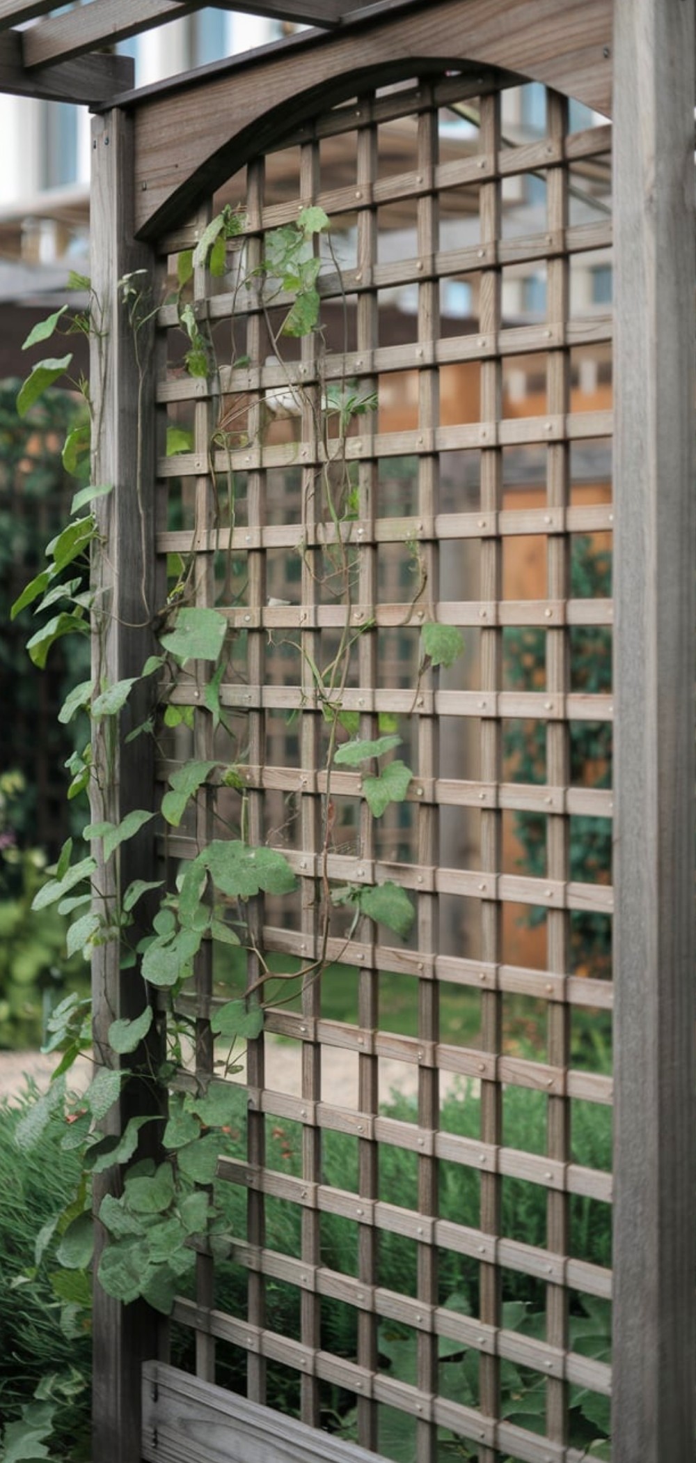 DIY Garden Trellis