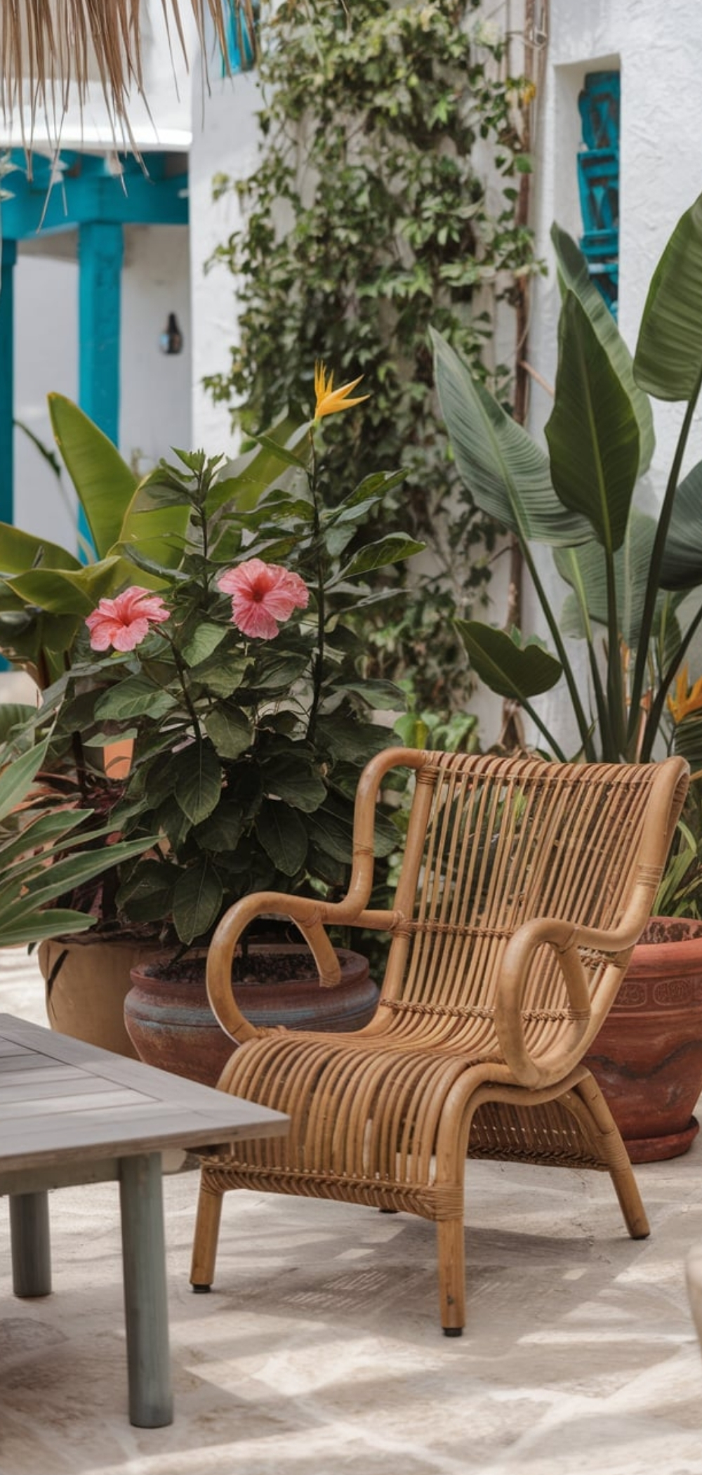 Tropical Bohemian Patio