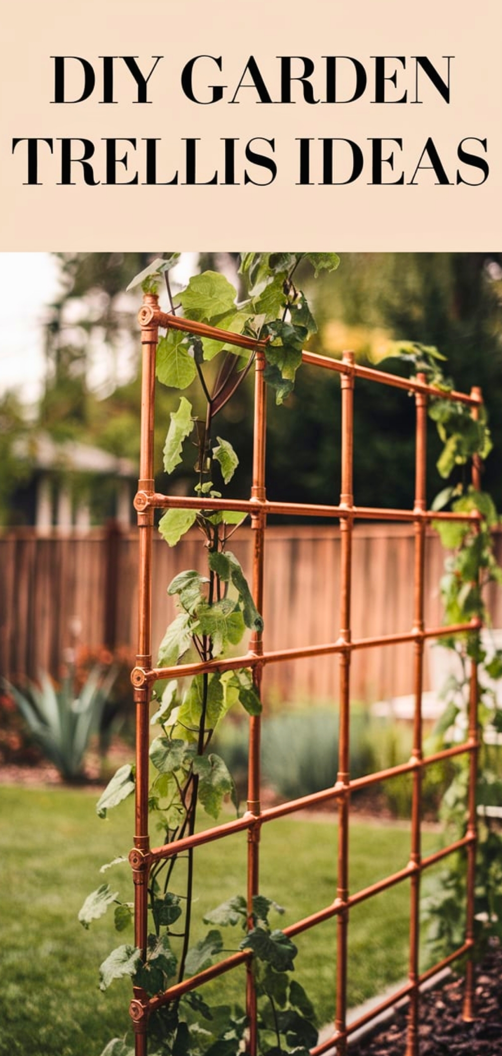 DIY Garden Trellis