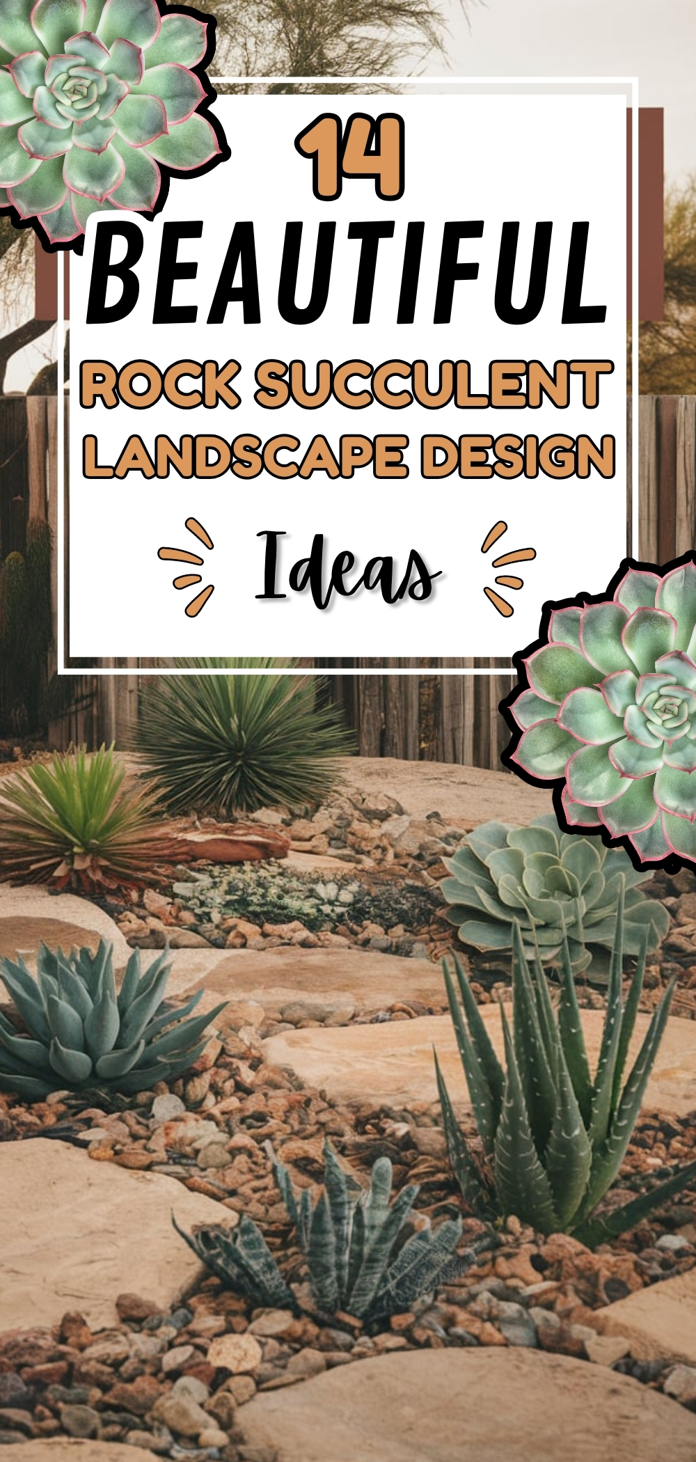 Succulent Landscape Design