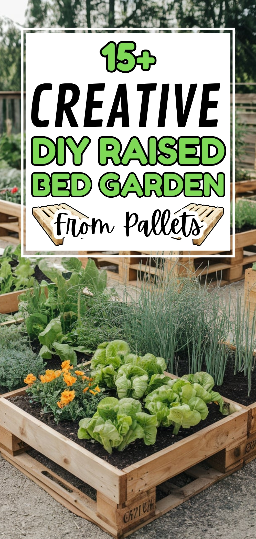 Raised Bed Garden