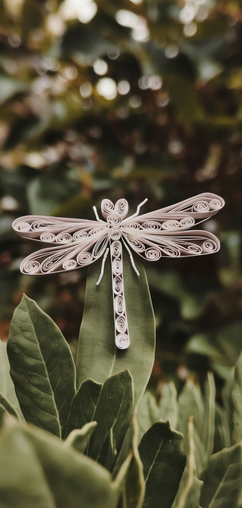 Dragonfly Craft