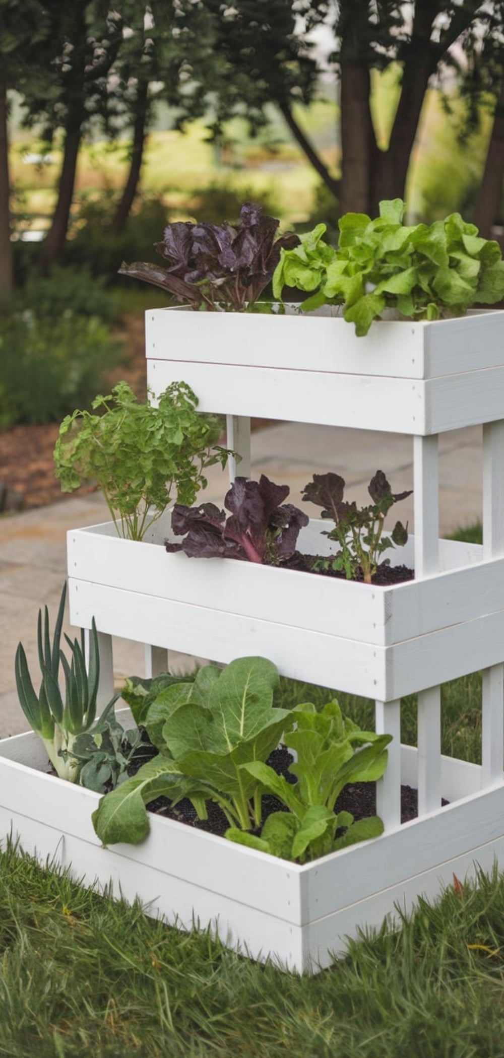 DIY Vegetable Garden