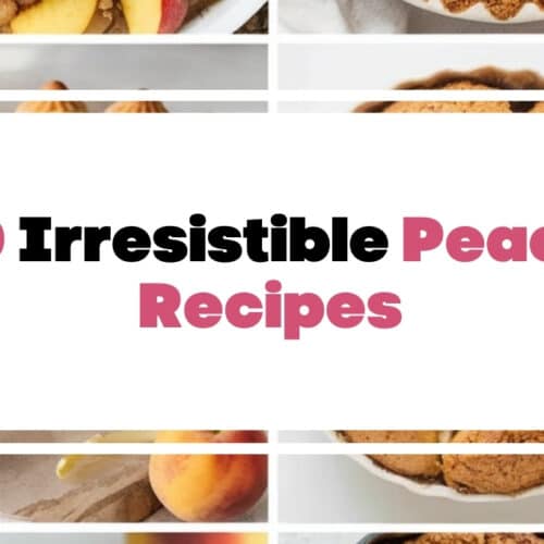 10 Easy Summer Grilling Recipes The Mega Mom