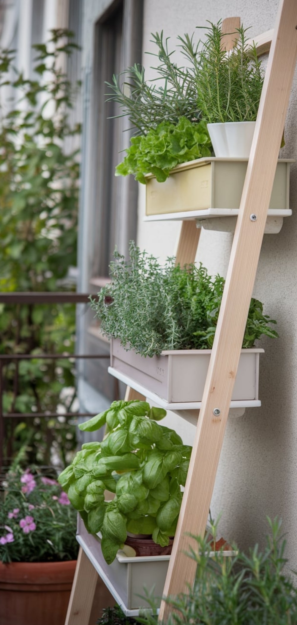 Small Balcony Garden