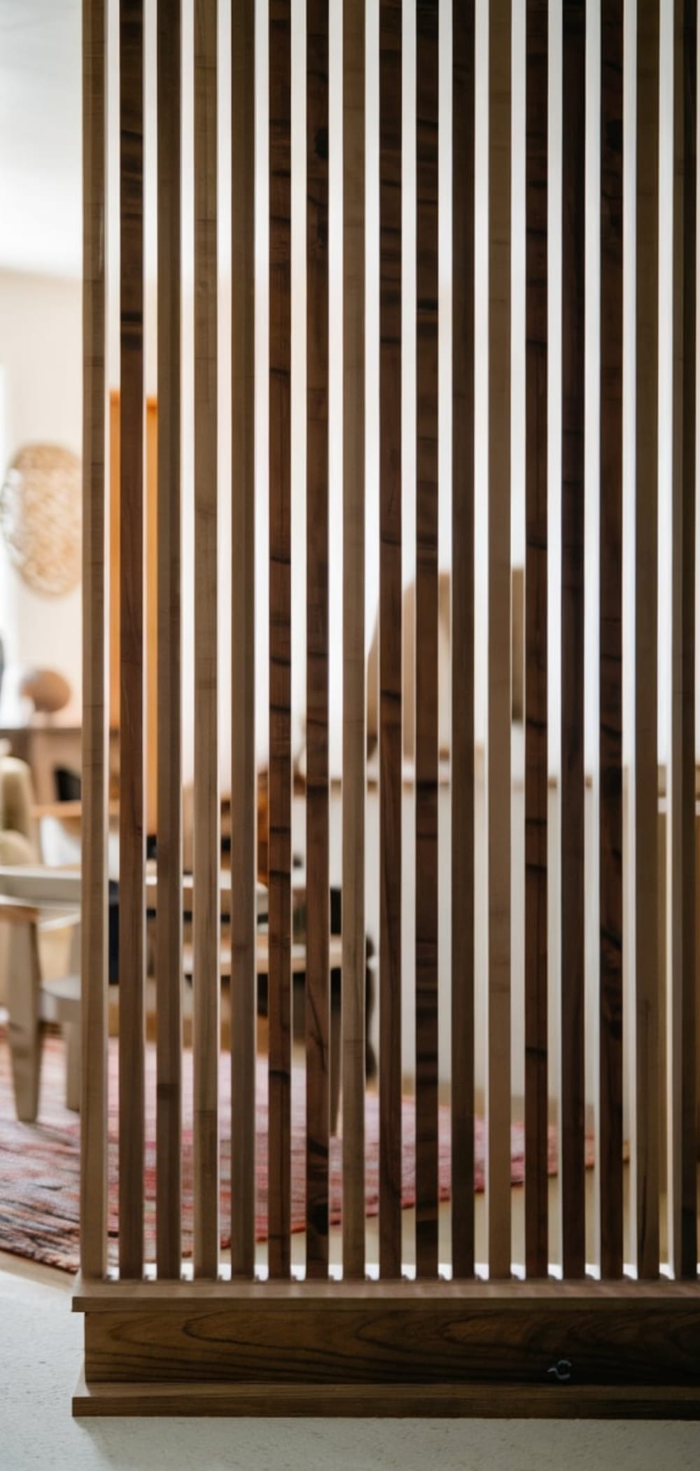 Room Divider Ideas