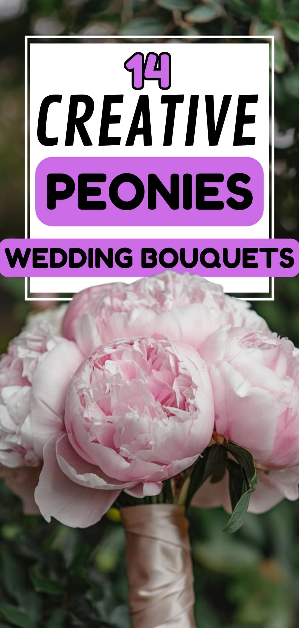 Peonies 