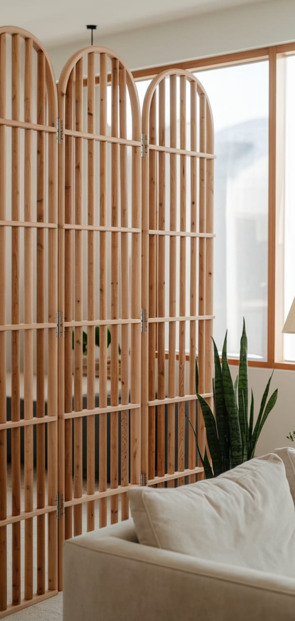 Room Divider Ideas