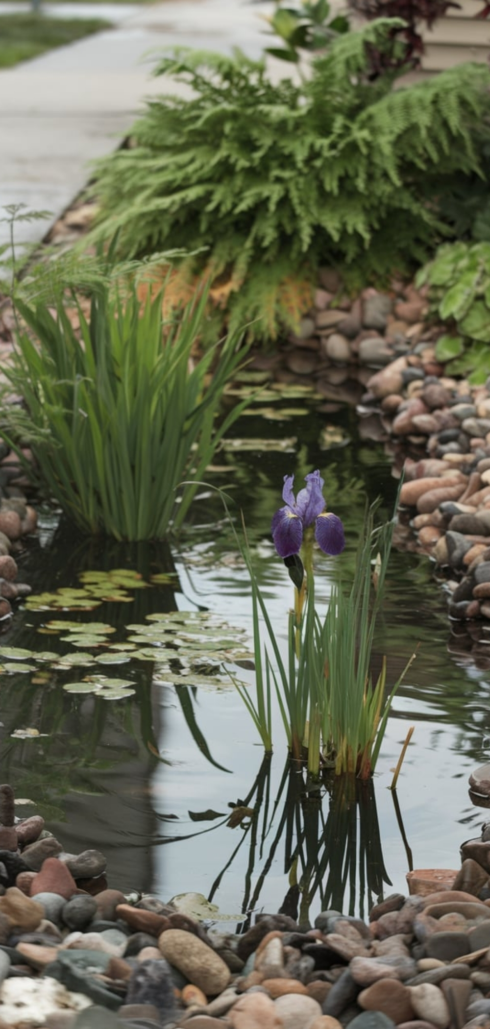 Front Yard Landscaping
