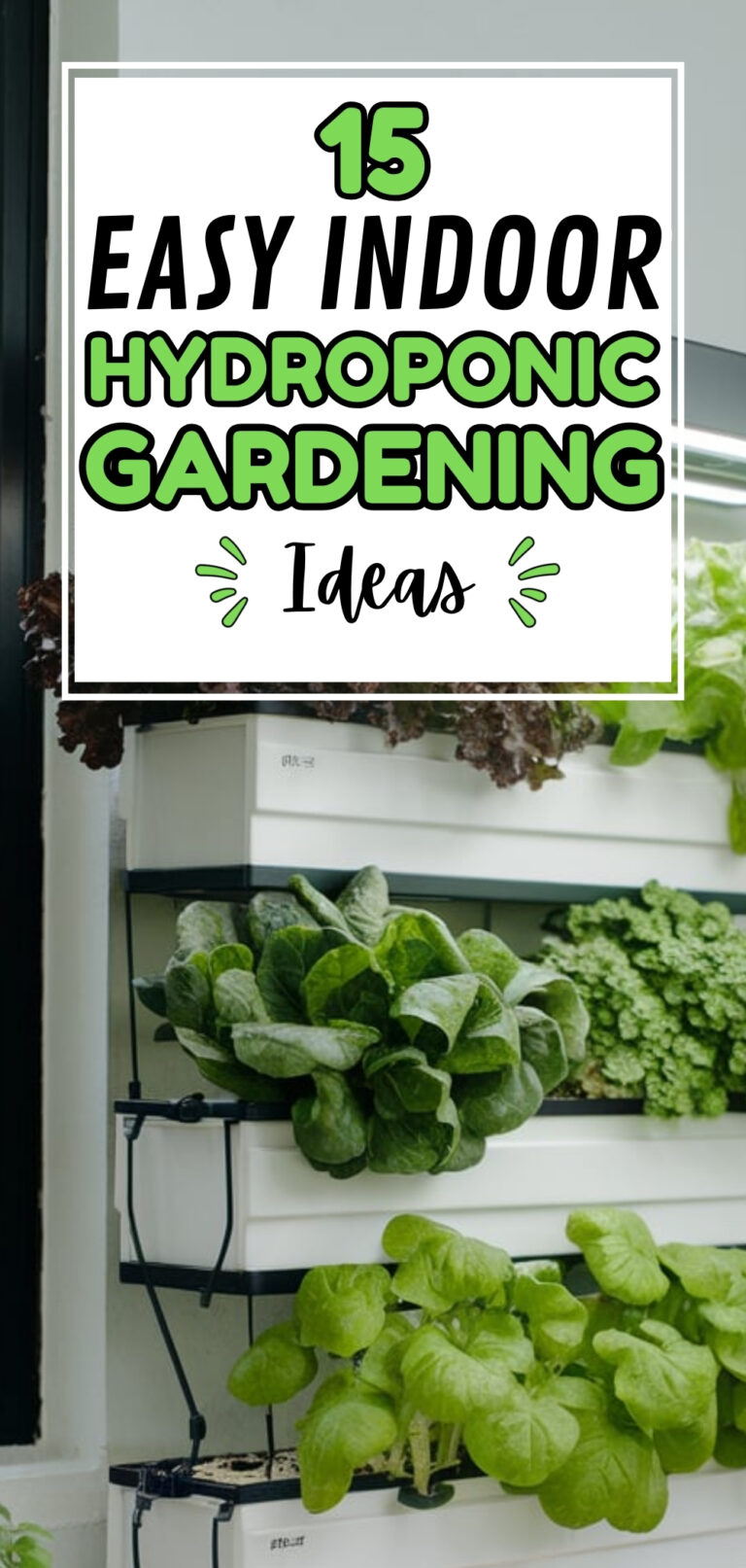15 Easy Indoor Hydroponic Gardening Ideas - The Mega Mom