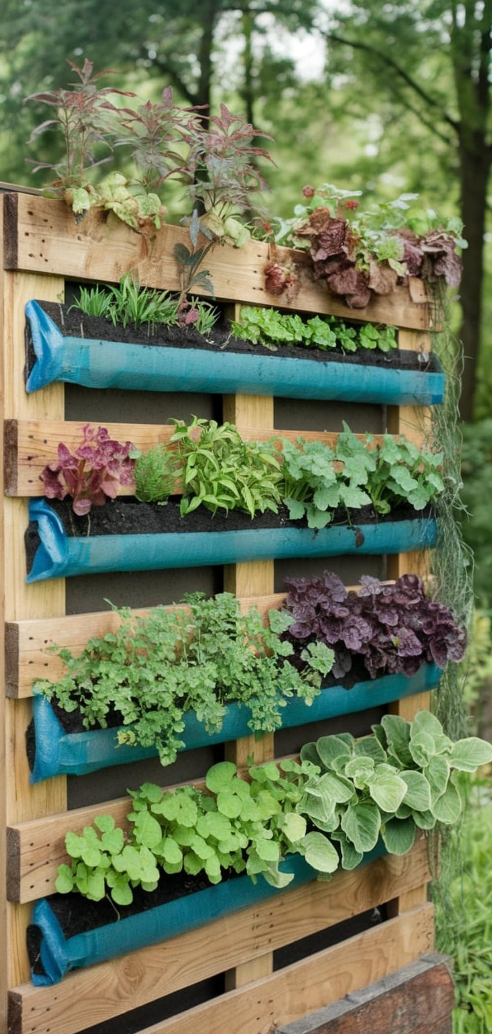 Tiny Garden Ideas