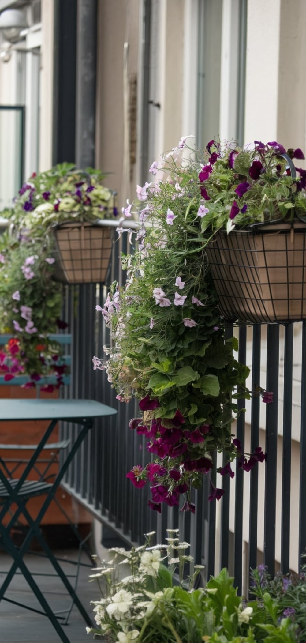 Small Balcony Garden
