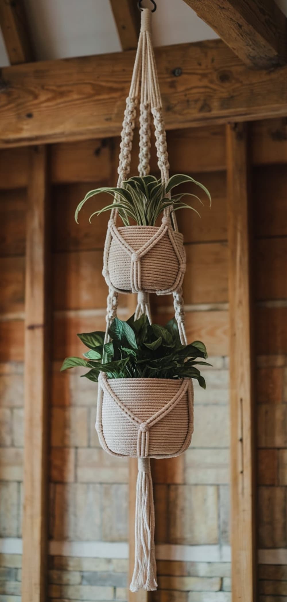 Macrame Plant Hanger