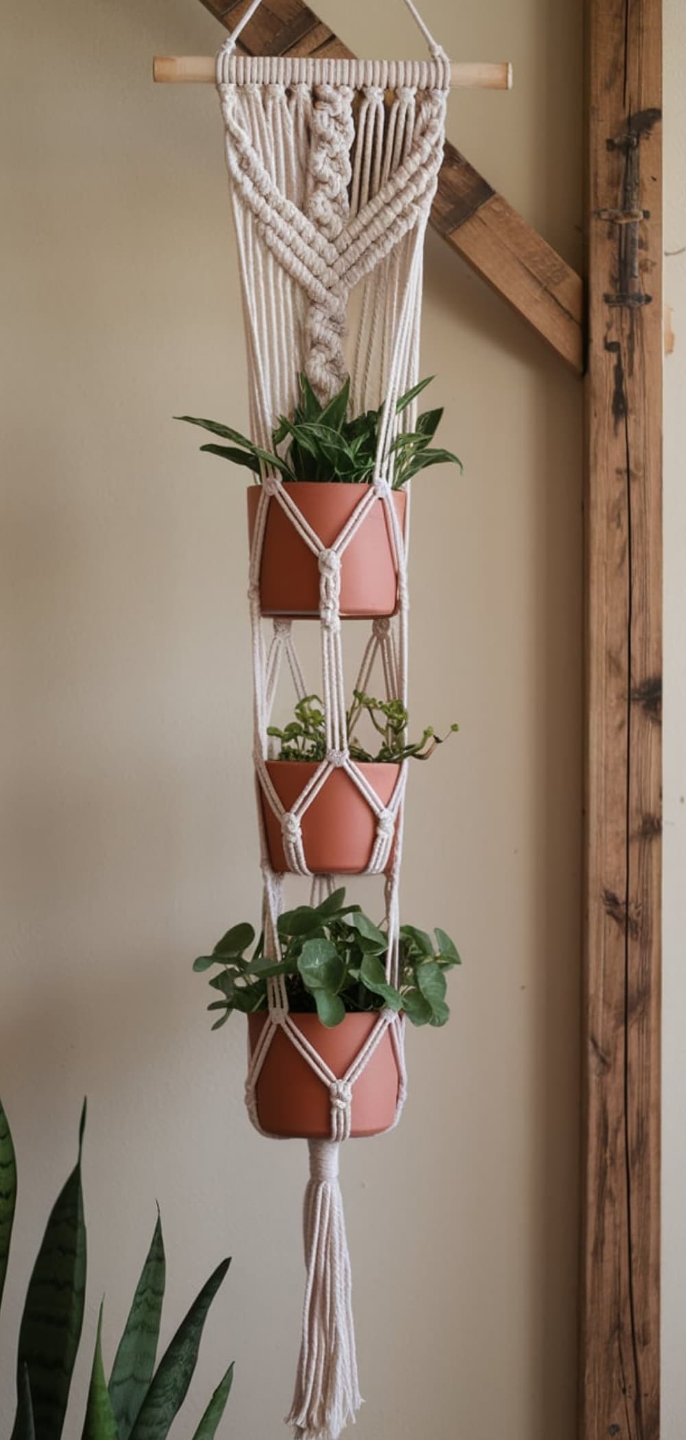 Macrame Plant Hanger