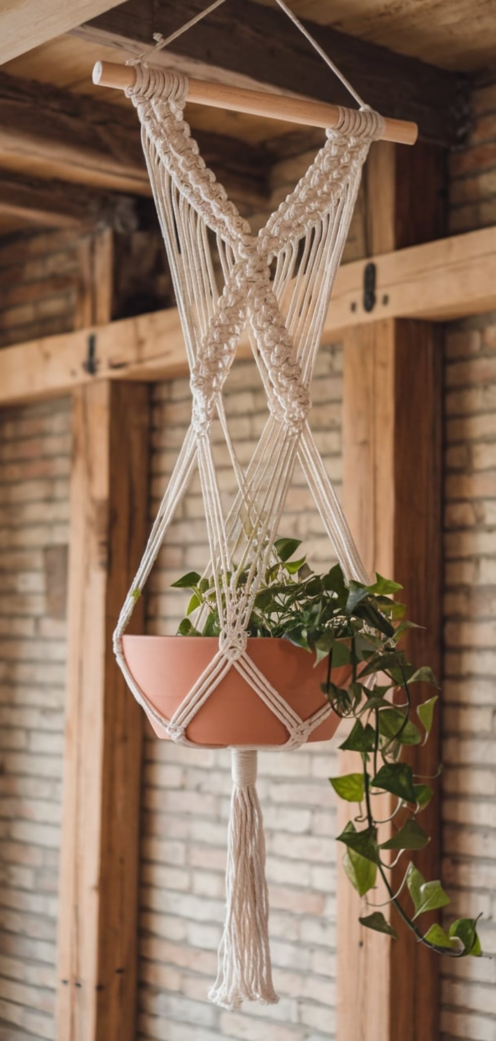 Macrame Plant Hanger