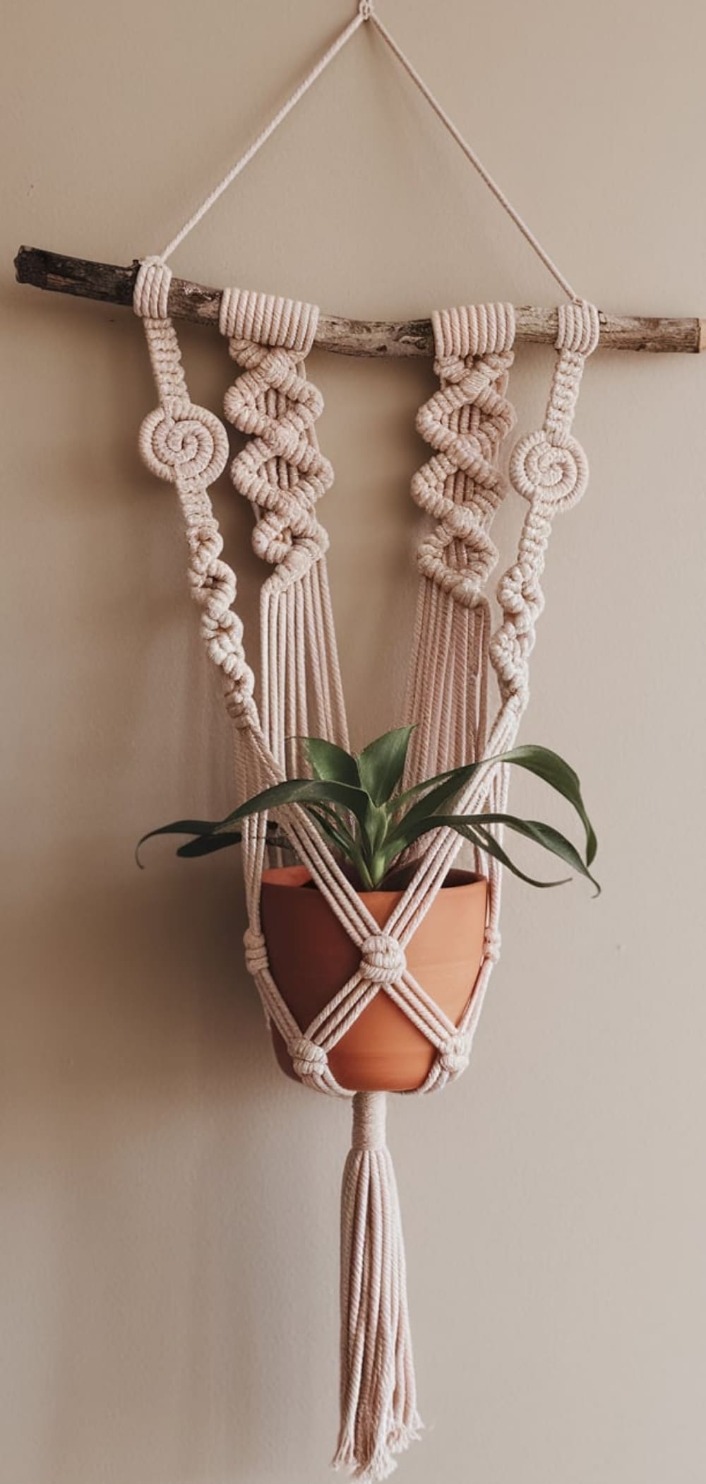 Macrame Plant Hanger