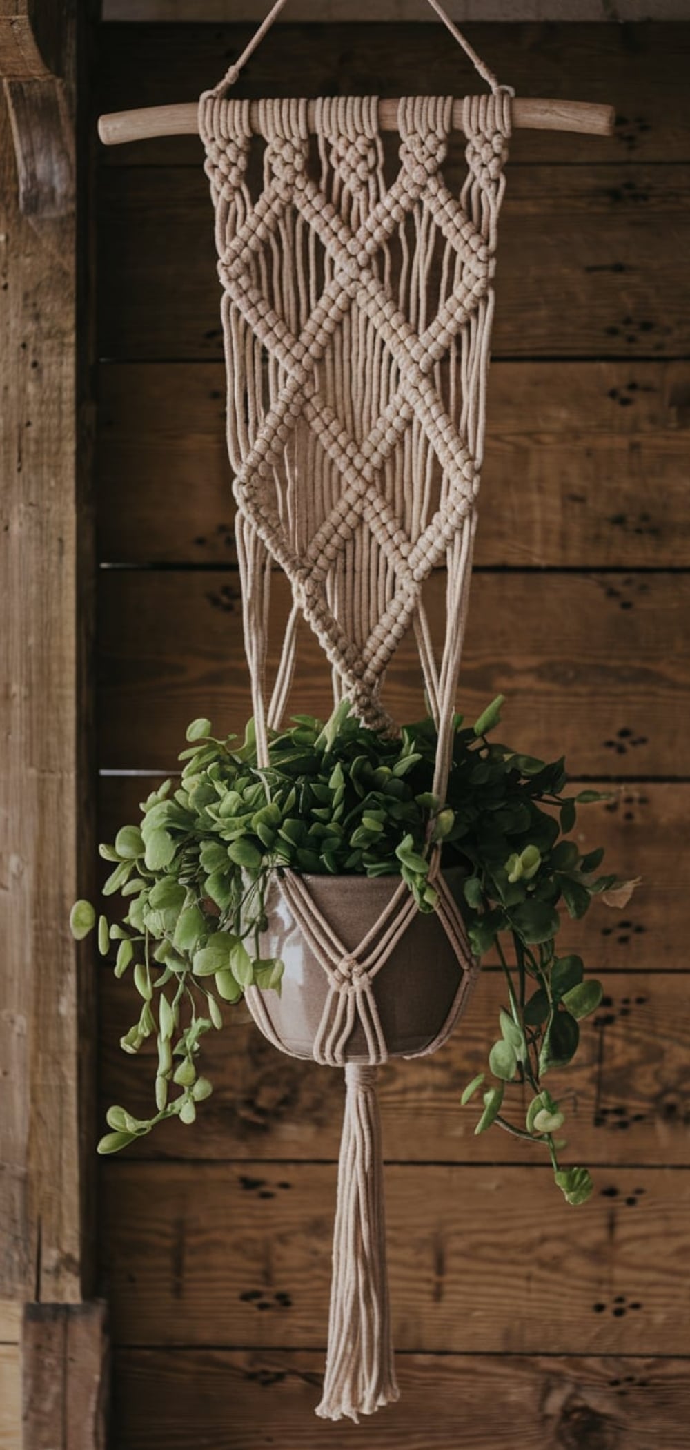 Macrame Plant Hanger