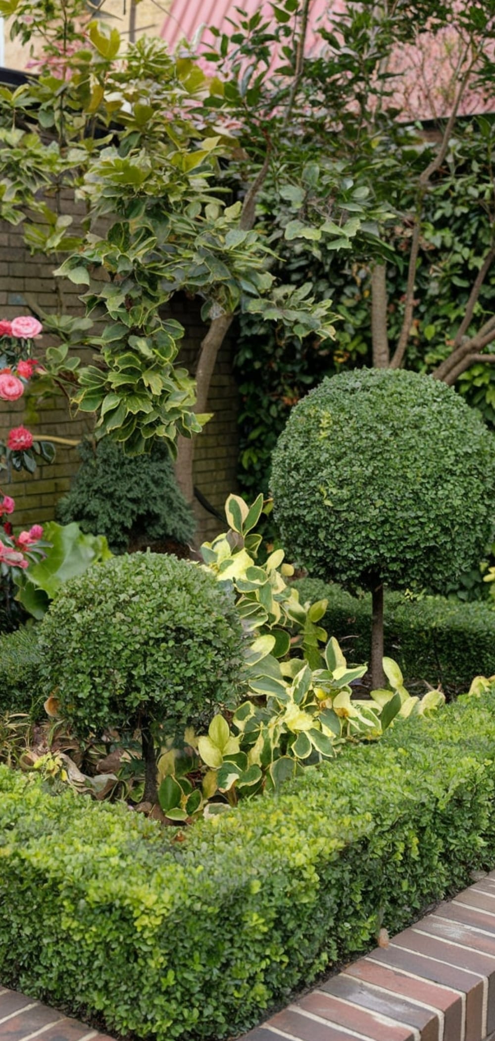 Small Garden Design
