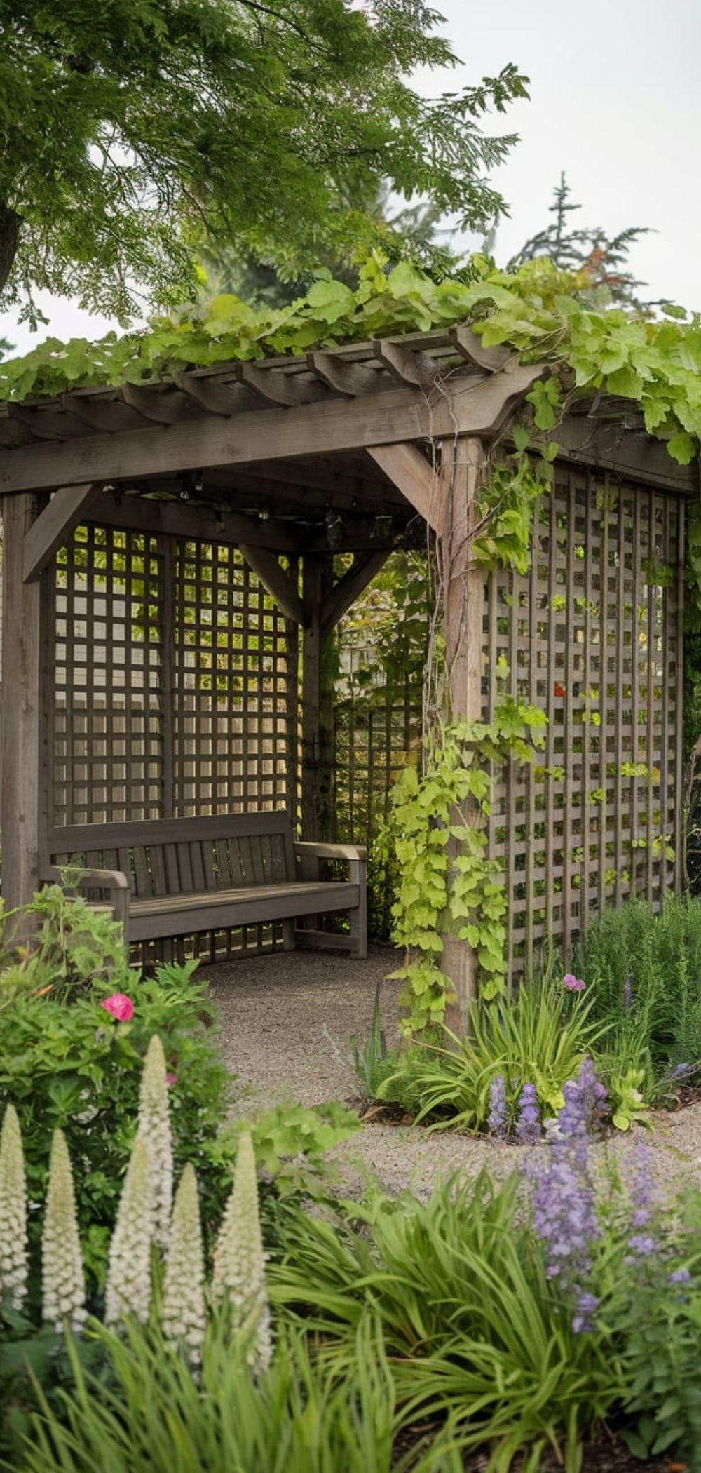 Pergola Patio