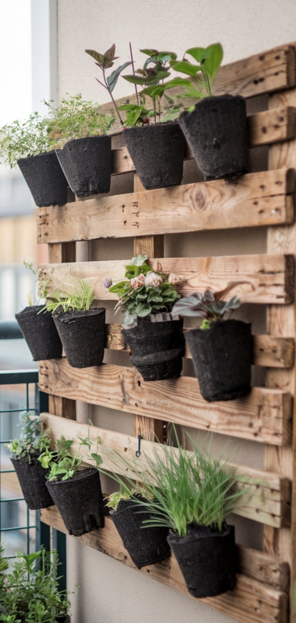 Small Balcony Garden