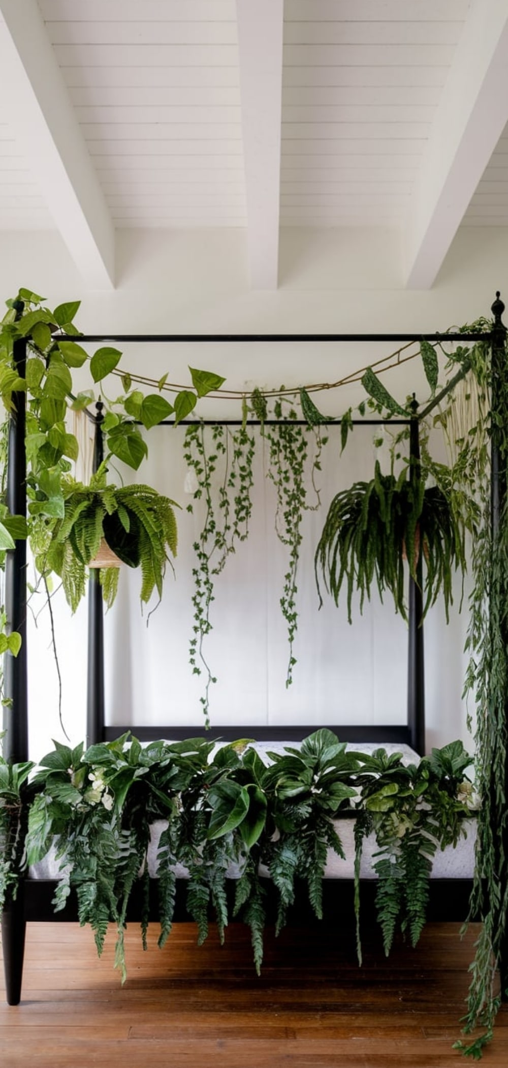 Canopy Bed Ideas