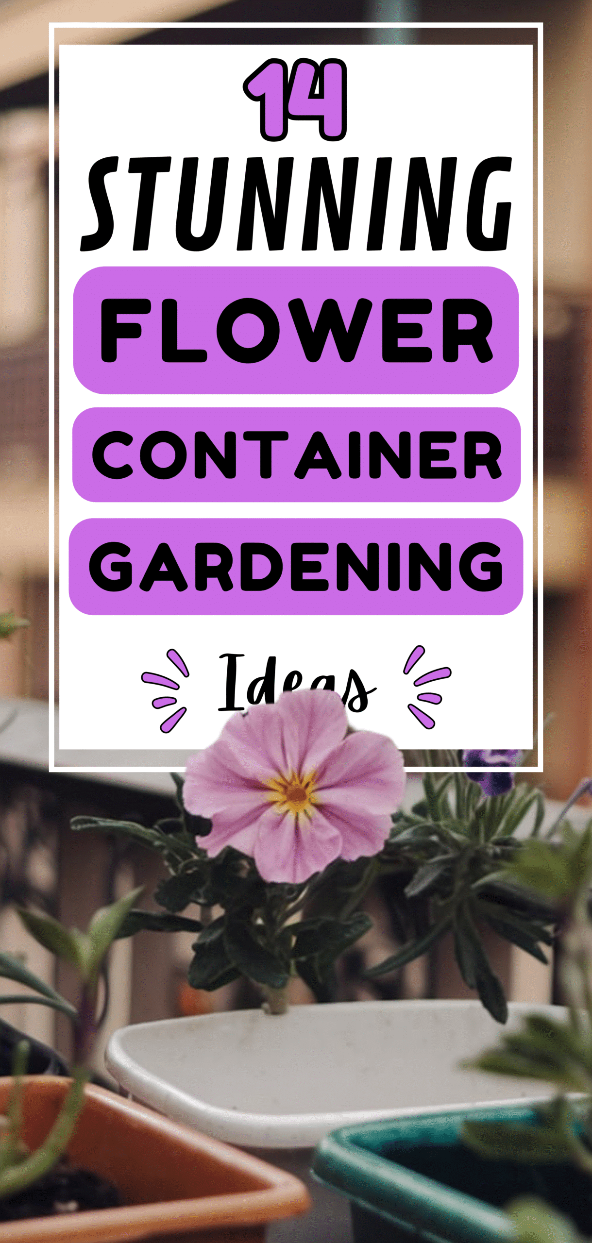 Container Gardening