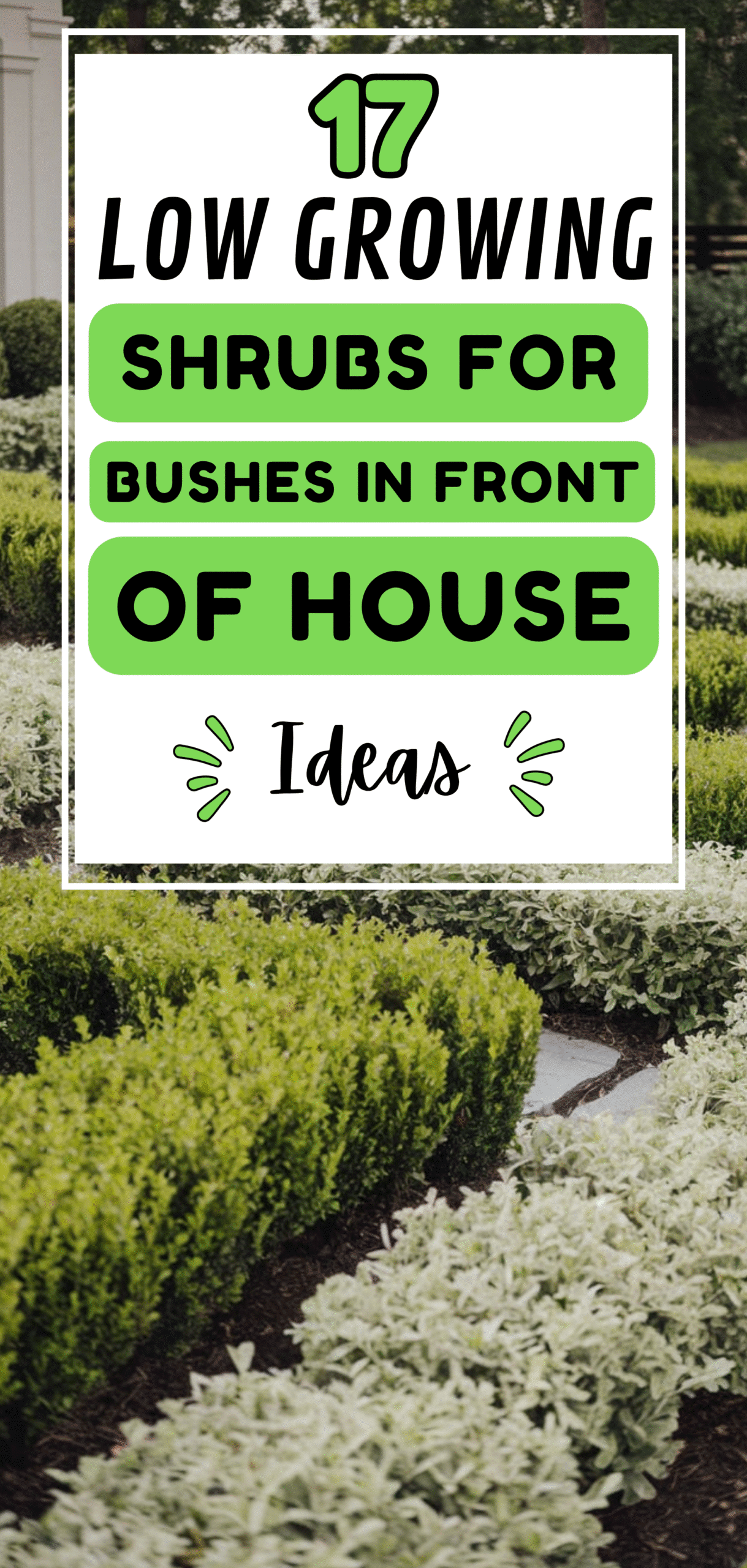 Bushes In Front Of House