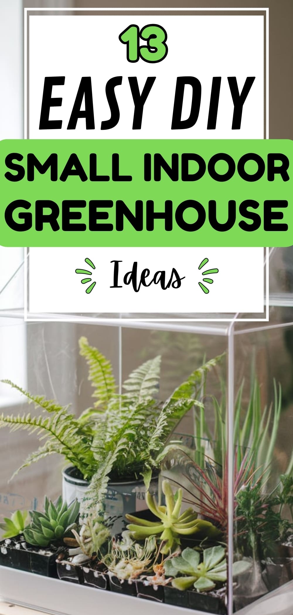 Indoor Greenhouse