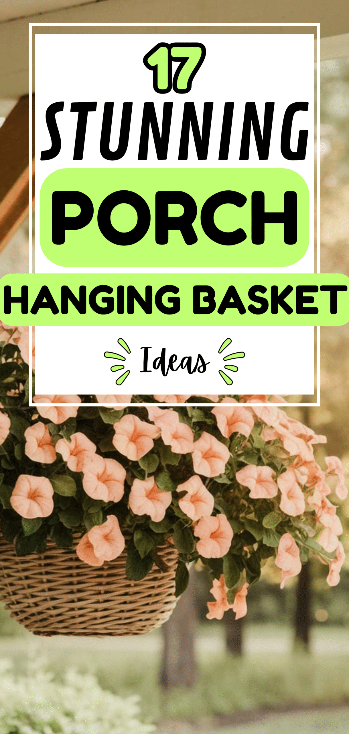 Hanging Basket