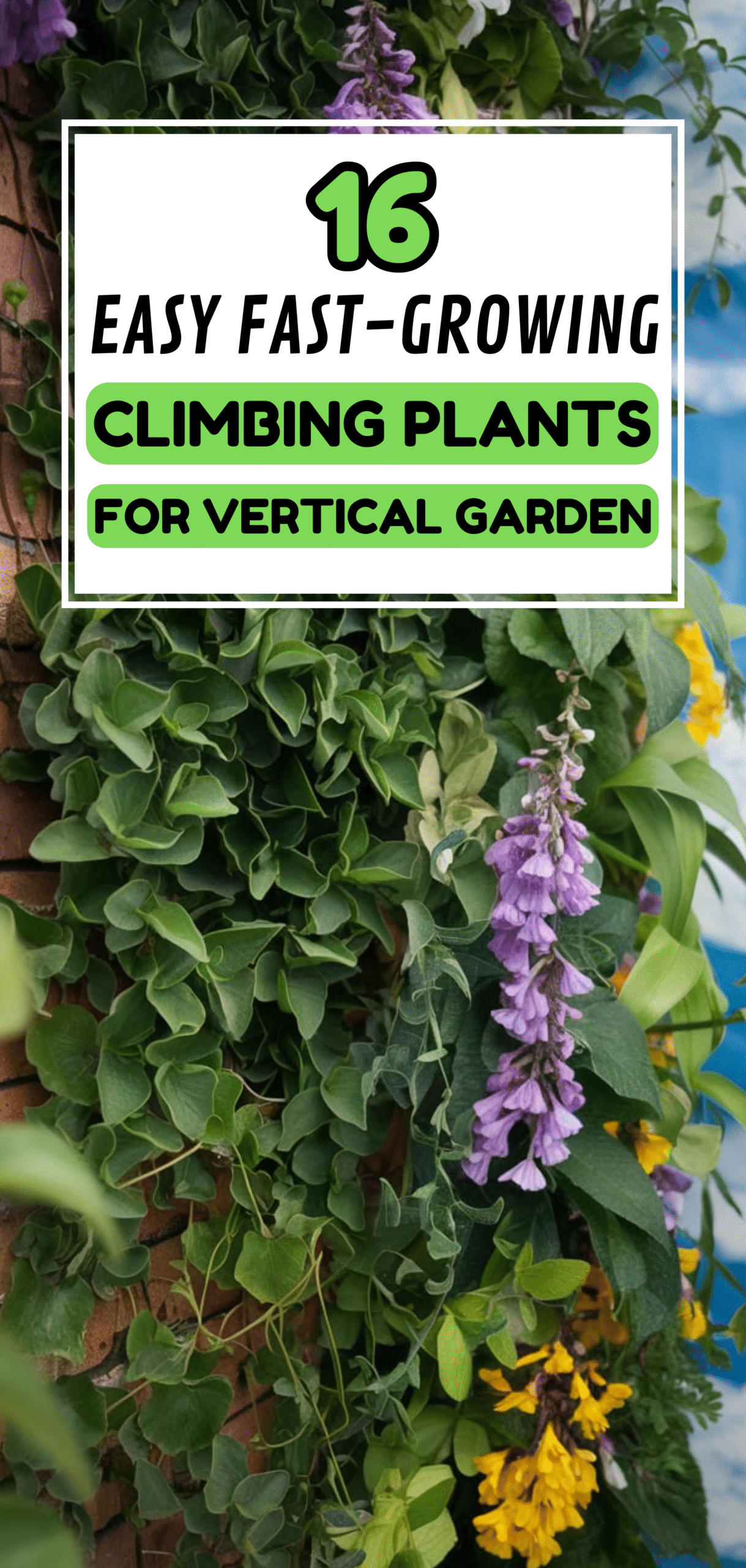 Vertical Garden