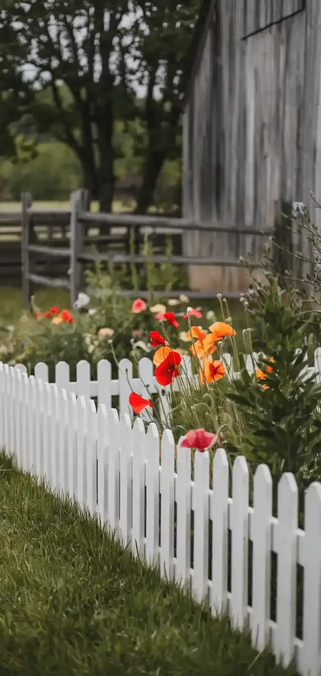 Country Yard Decor
