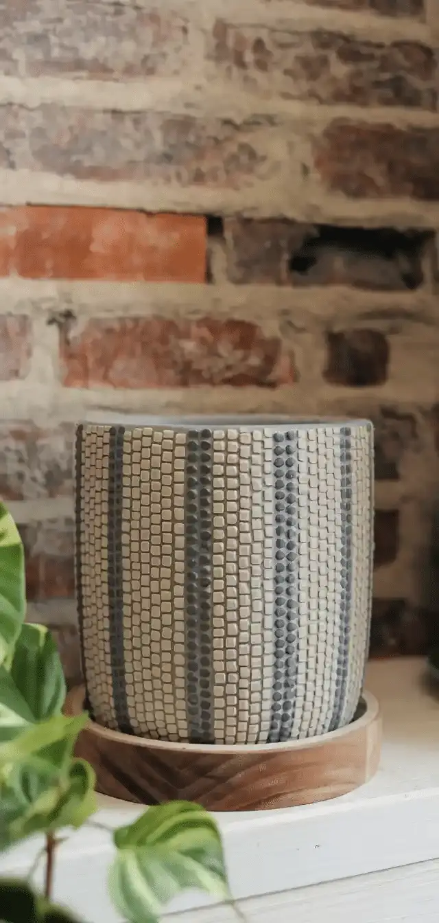 DIY Pebble Pot Ideas