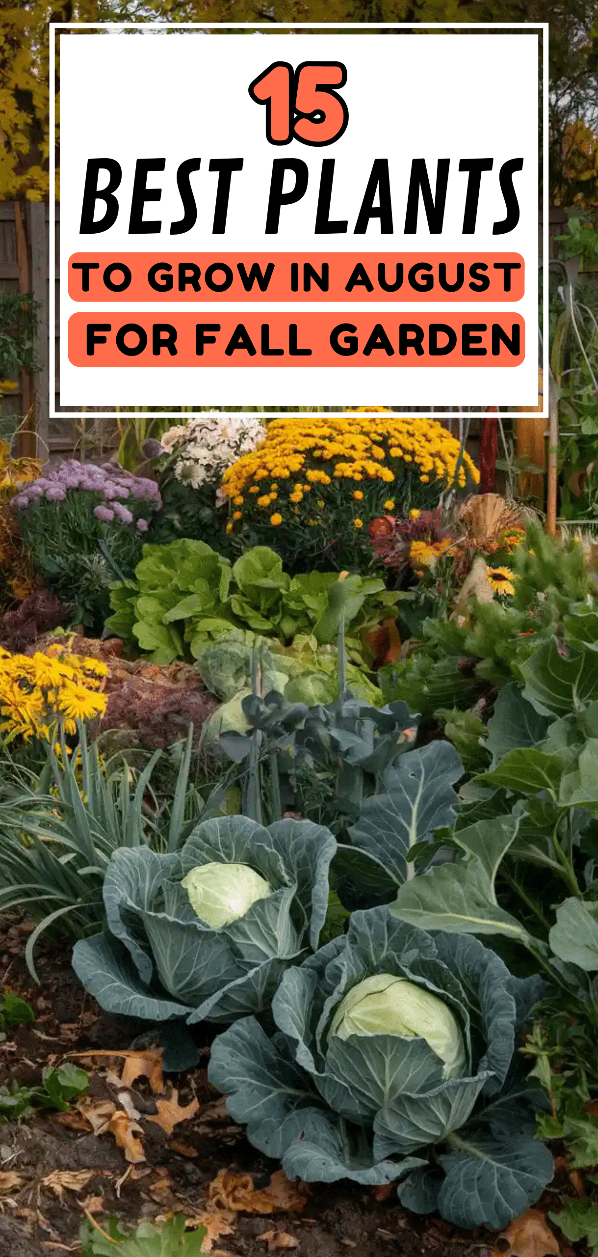 Plants to Grow in August for Fall Garden