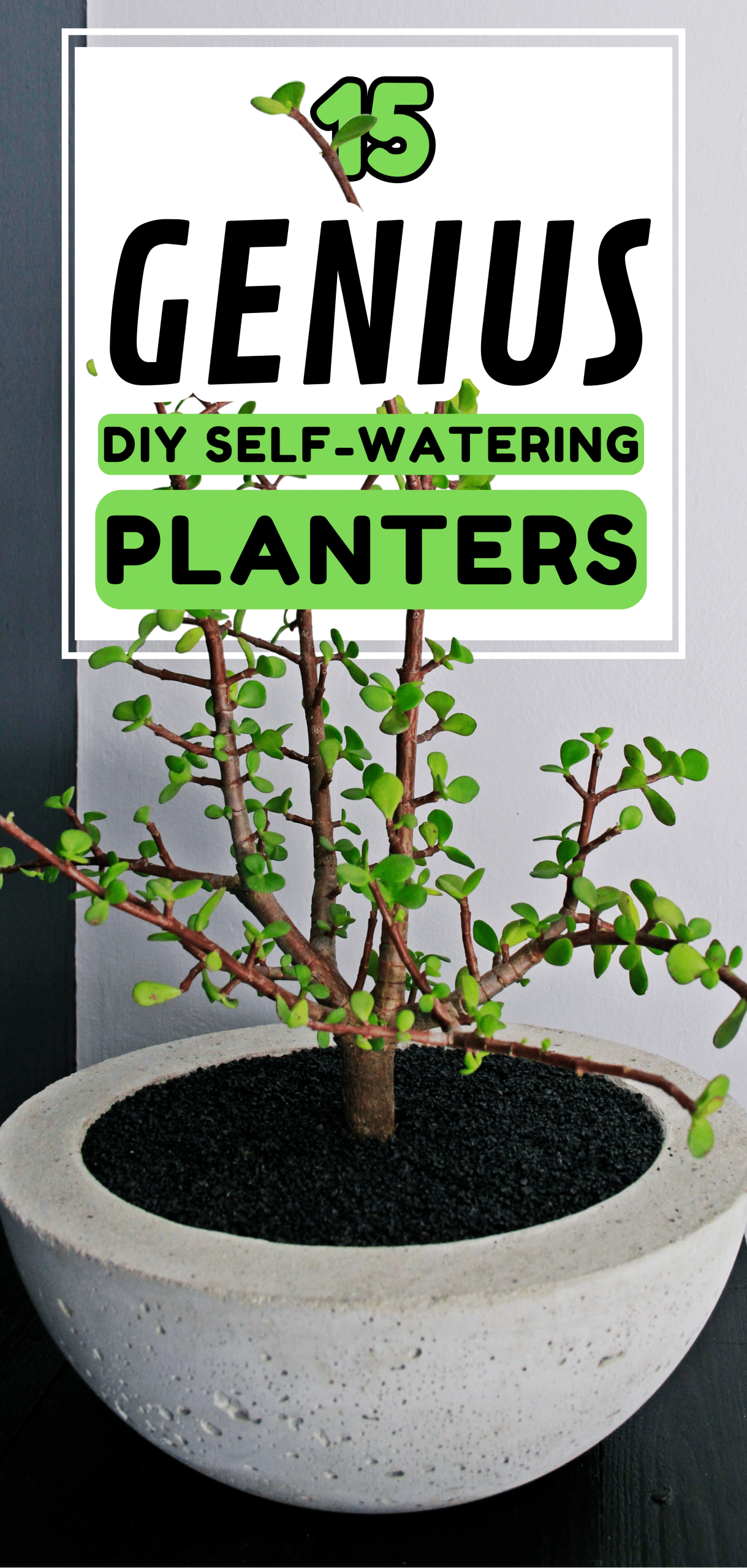 DIY Self-Watering Planters